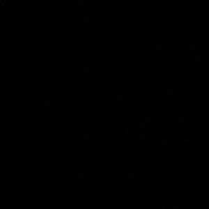 Meet your Posher, Niko